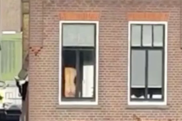 Neighbor Is Naked creampie nude bellesahouse porn