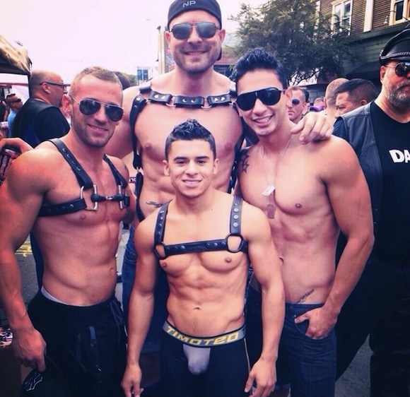 andrea gilligan recommends folsom fair porn dani macavei add folsom fair porn image