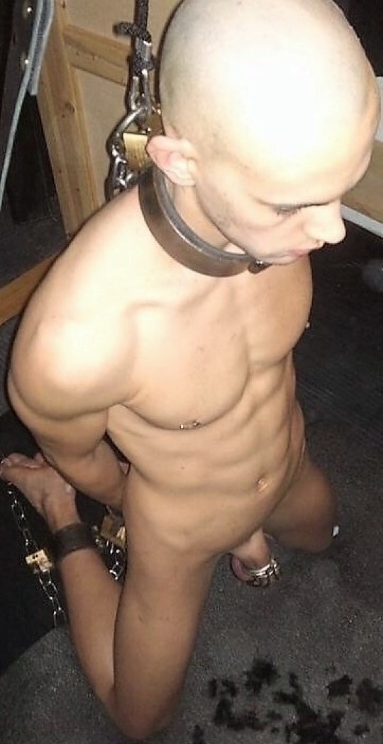 Femdom Bondage Man bokep syur ngintip di toilet umum